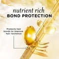 thumbnail image 2 of Pantene Nutrient Blends Strengthening Damage Repair Castor Oil Sulfate Free Shampoo, 2 of 8