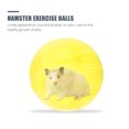 thumbnail image 2 of FESTFENDS 2 Pcs Balles de Course Jouets pour Hamster Plastique Hamsters Simples, 2 of 8