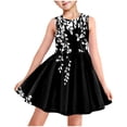 thumbnail image 1 of LOVZFMLL Girls' Summer Short Sleeve Ruffled Lace Round-Neck Embroidery Mesh Princess Bow Skirt, 1 of 5