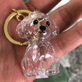 thumbnail image 3 of Dog Hair Collector Keychain Charm Memorial Storage Box Pet Hair Memorial Keepsake Transparent Cute Keychain, 3 of 6