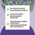 thumbnail image 2 of Schmidt's Lavender & Sage Natural Deodorant Spray, 2 of 8
