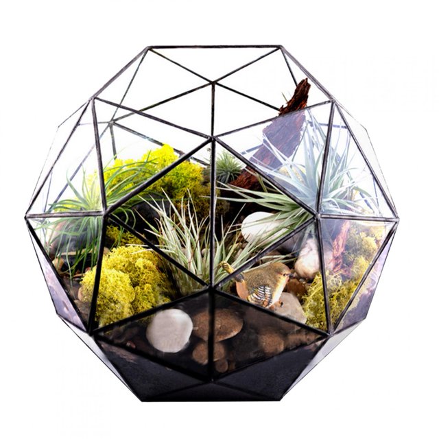 Geometric Plant Holder Plant Container, Flower Pot, Elegant For Flower Shop Home Garden