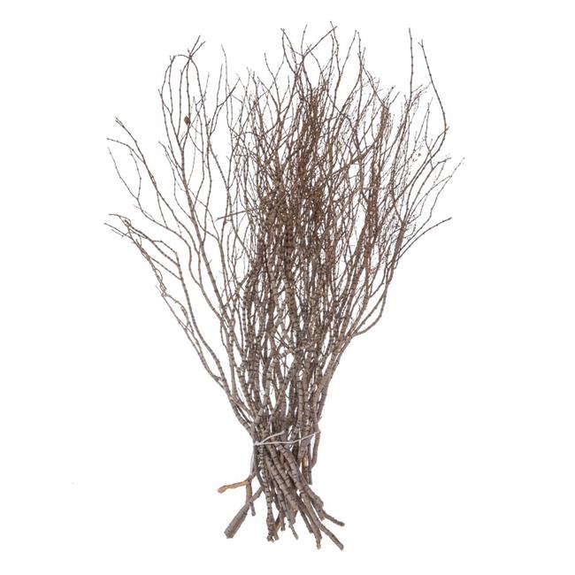 Vickerman H4TIW000 36 in. Tigerwood Stems Bundle