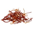 thumbnail image 2 of Shank's Spanish Saffron - 25 Grains, 2 of 2