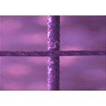 thumbnail image 1 of Ahgly Company Tapis Rectangulaire Lavable en Machine Intérieur Transitionnel Magenta Foncé Violet, 5 Pieds x 7 Pieds, 1 of 7