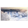 thumbnail image 1 of Designart Beautiful Winter Panorama Canvas Wall Art, 1 of 4