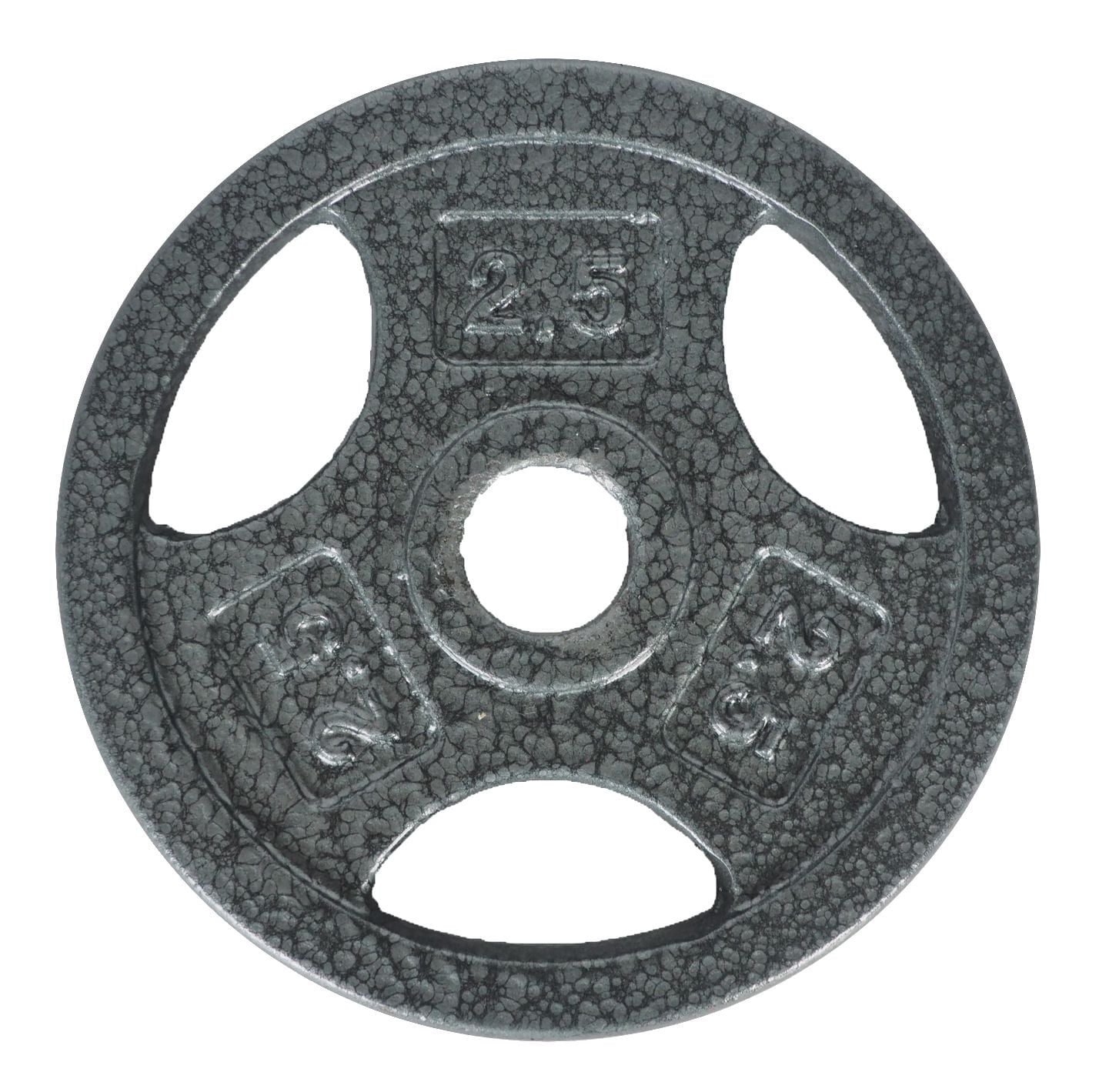 GoZone Grip Weight Plate – Silver