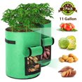 thumbnail image 1 of Amaxun 2 Pack 11 Gallon Grow Bags with Handles and Breathable Cloth,Green, 1 of 8