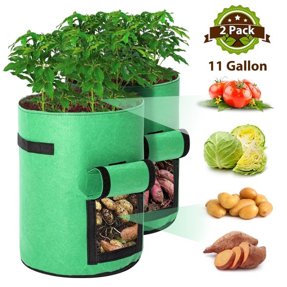 Amaxun 2 Pack 11 Gallon Grow Bags with Handles and Breathable Cloth,Green
