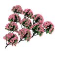 thumbnail image 1 of Milaget 10pc 1:200 Train Railroad Scenery Landscape Model Trees HO Scale Flowers #3 Pink, 1 of 8
