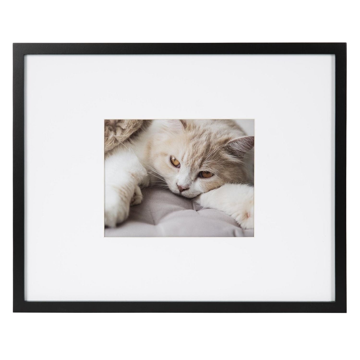 DesignOvation Gallery 8" x 10" Matted to 5" 7" White Picture Frame