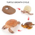 thumbnail image 2 of Plastic Animals Figures 4 Piece Insect Figure Animal Life Cycle Plastic Brood to Mature Period, 2 of 3