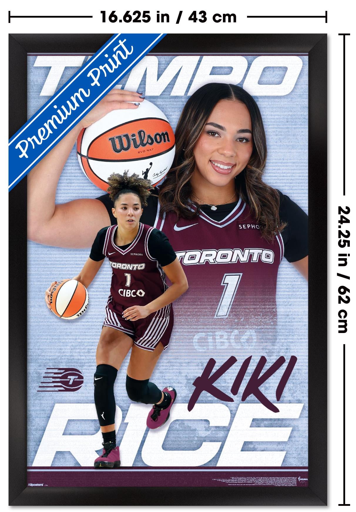 WNBA Toronto Tempo