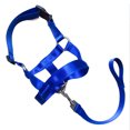 thumbnail image 1 of Dog Head Collar Gentle Stop Pulling Pet Lead Padded Noseband Training Halter, 1 of 1