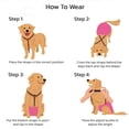 thumbnail image 4 of EIGTHTAIL Pet Diaper Suspender Belly Bands for Small Medium Dogs Practical Dog Short Strap, 4 of 19