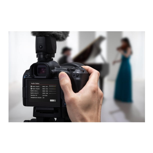 Canon EOS R5 Mark II Body - Walmart.ca