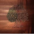 thumbnail image 1 of Years - Years (vinyl), 1 of 2
