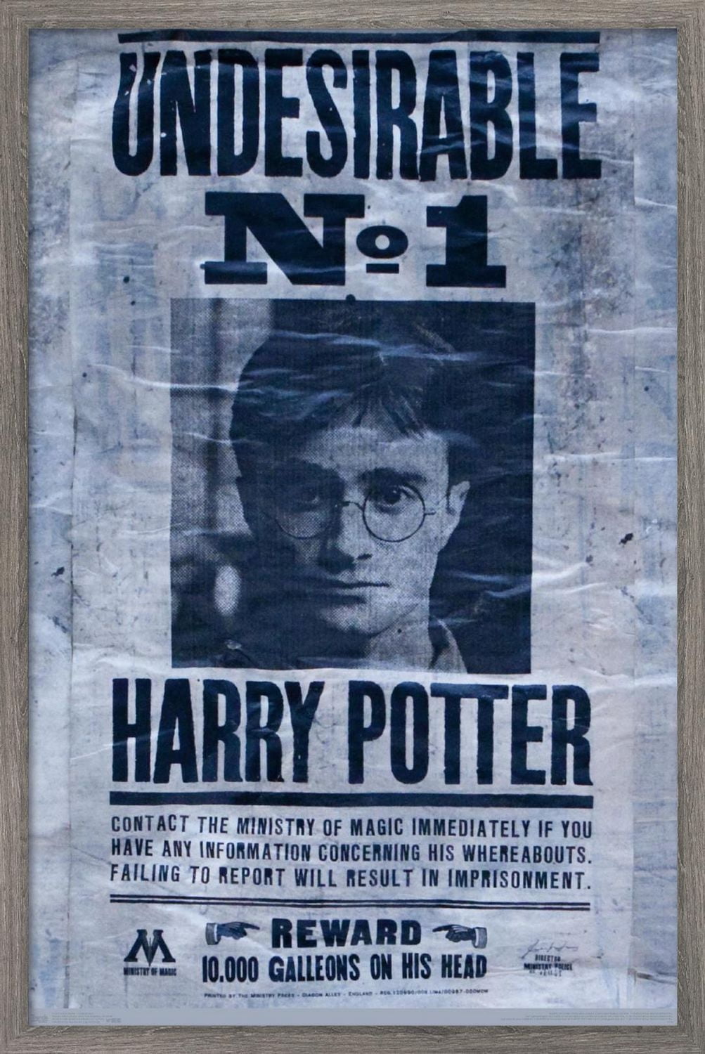 Le Monde des Sorciers : Harry Potter - Indésirable