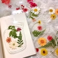 thumbnail image 4 of Trendy Tool Kit for Home, 20PC Large Size Bookmark Flower Page Clips Bookmarks Children Handmade DIY Transparent Flower Page Glass Bottle Wishing Bottle Sticker, 4 of 9
