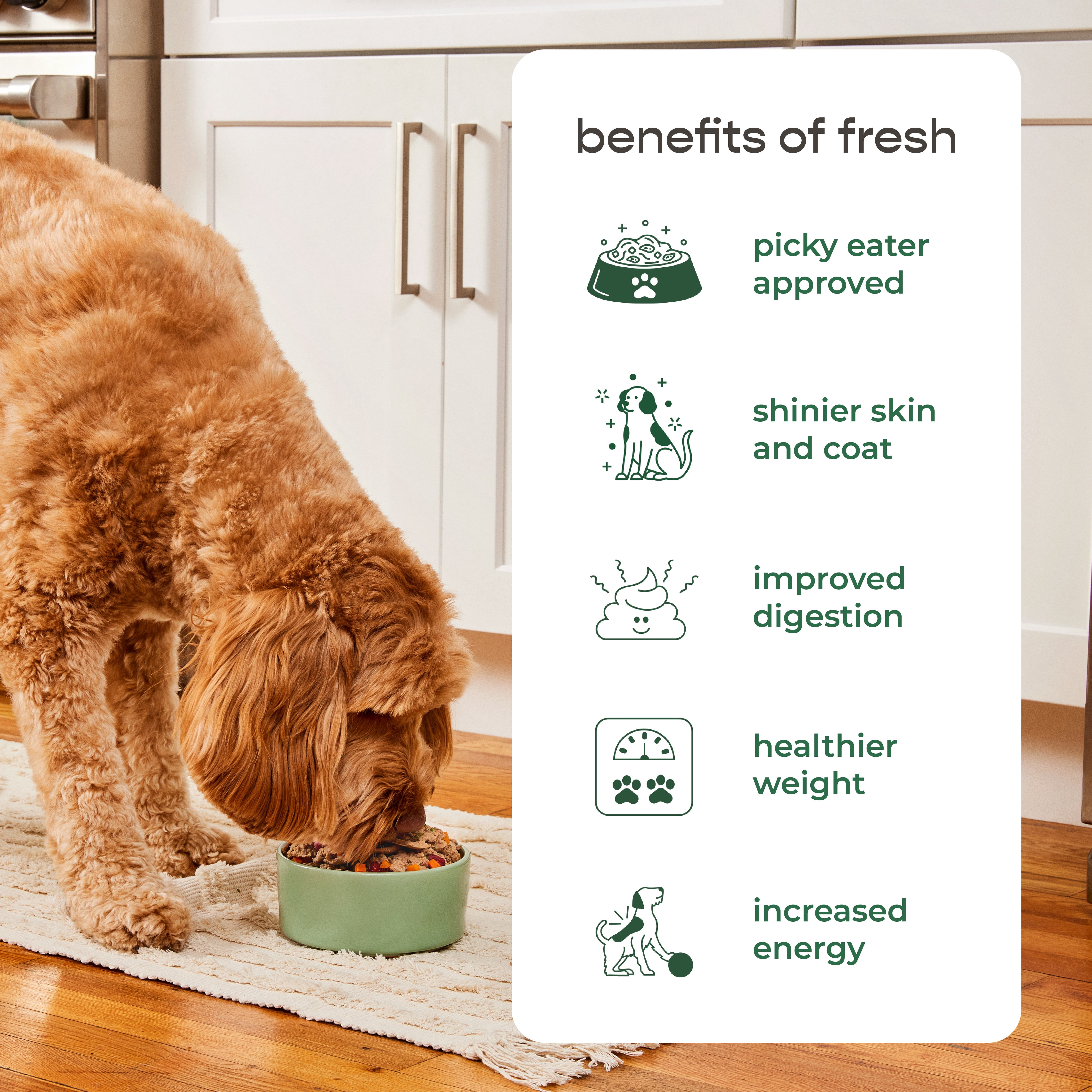 Freshpet Nourriture fraîche pour chats, Pâté en rouleau à trancher et à servir, Recette au poulet et au bœuf, 454 g.