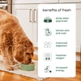 thumbnail image 4 of Freshpet Nourriture Fraîche pour Chiens, Recette Multi-Protéine, Repas Fraîchement Rôtis 1.36KG, 4 of 6