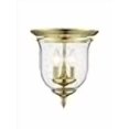 thumbnail image 3 of Livex Legacy Ceiling Mount in Polished Brass, 3 of 4