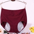 thumbnail image 2 of Yuyuzo Plus Size Underwear Foe Women Full Coverage High Waisted Stretch Layered Solid Color Panties, 2 of 7