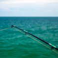 thumbnail image 5 of Unique Bargains Trousse de Réparation d'Embout de Canne à Pêche en Acier Inoxydable 4,0 mm, Guide d'Anneau de Perche, Remplacement, Noir, Lot de 8, 5 of 5
