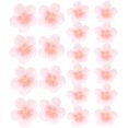 thumbnail image 1 of 50Pcs Multi Color Artificial Cherry Blossom Heads For Valentine's Day And Photography Props, 1 of 8