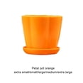 thumbnail image 3 of serony Durability Classic - Long-lasting And Elegant Home Decor Accessories Prevent Red XS,1 1Set, 3 of 6