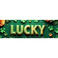 thumbnail image 4 of St Patricks Day Backdrop Banner Shamrock Decorations Irish Luck Party Background Flower Props Green Hat Festival Decor Gift Events Photography, 4 of 4