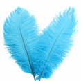 thumbnail image 2 of Ostrich Feather 30-35Cm Colorful Feather Decoration 36# Lake Blue H Feather (1*Feather), 2 of 7