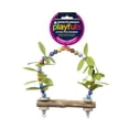 thumbnail image 1 of Prevue Paradise Swing Bird toy, 1 of 7