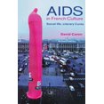thumbnail image 1 of AIDS in French Culture: Social Ills, Literary Cures, 1 of 1