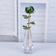 thumbnail image 2 of GROWTH TANK Anniversary Birthday Gift for Wife Girlfriend Green, 2 of 8