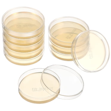 10 Pcs Assiettes d'Agar Prépourrées 7 cm Boîtes de Pétri avec Agar Fournitures pour Expériences Scientifiques