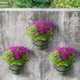 thumbnail image 4 of Support Mural pour Pot de Fleurs Anneau Mural 8 Pouces Crochets Métalliques pour Plantes, 4 of 8
