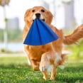 thumbnail image 4 of Training Rag Leather High Toughness For Large Interactive Play Tug Of War Game For Puppy Prey Drive Grip, 4 of 4