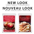 thumbnail image 2 of ScentSationals Scented Wax Cubes - Cinnamon Apples, 2 of 6
