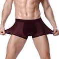 thumbnail image 1 of DPTALR Ice Silk Panties Briefs Breathable Nylon Mesh Boxers, 1 of 2