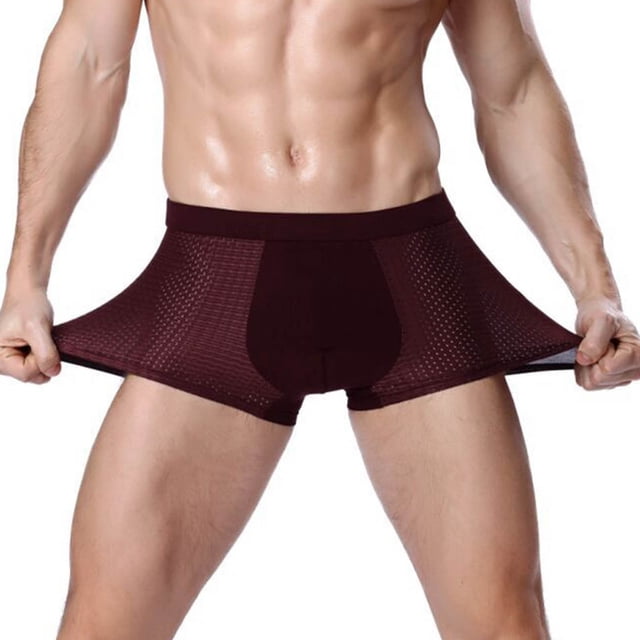DPTALR Ice Silk Panties Briefs Breathable Nylon Mesh Boxers