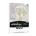 thumbnail image 1 of Papier cartonné Neenah Astrodesigns blanc brillant, 8,5 po x 11 po, 65 lb, 50 feuilles, 1 of 4