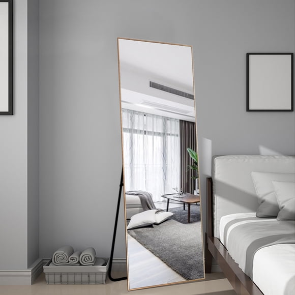 NeuType Full Length Floor Mirror Rectangular Gold 65"x22"