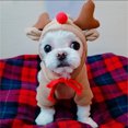 thumbnail image 4 of TIMIFIS Cat Dog Clothes Cat Costume Fruit Turned Into Dogs, Cats, Dogs, Autumn And Winter Sweaters, Fleece Clothes, 4 of 6