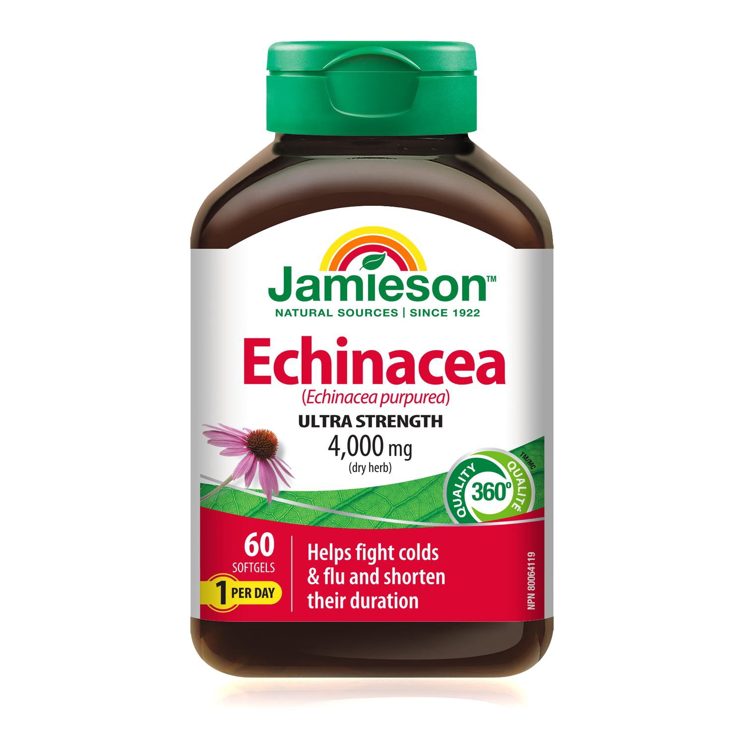 Jamieson High Potency Echinacea 4,000 mg Softgels