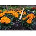 thumbnail image 2 of DEWIT 31-8725 Drop Grip 3 Tine Cultivator, 2 of 2