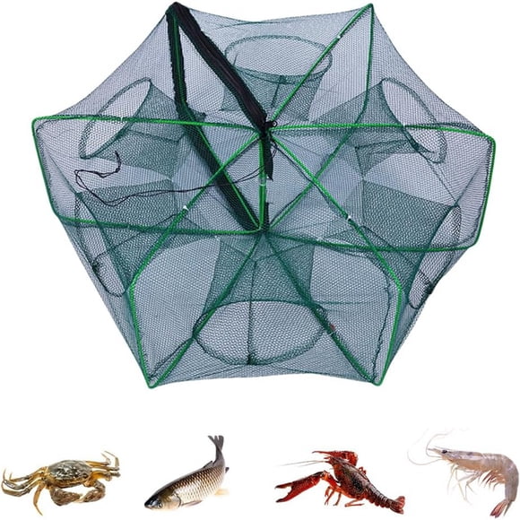 2026 Kit de Piège de Pêche Pliable Filet Portable pour Crabe et Écrevisse pour Pêcheurs