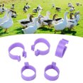 thumbnail image 4 of Poultry Foot Ring, Easy Identification Plastic PP Wear Resistant Chicken Foot Ring Classification  For Farm Purple 16mm/0.63in, 4 of 8