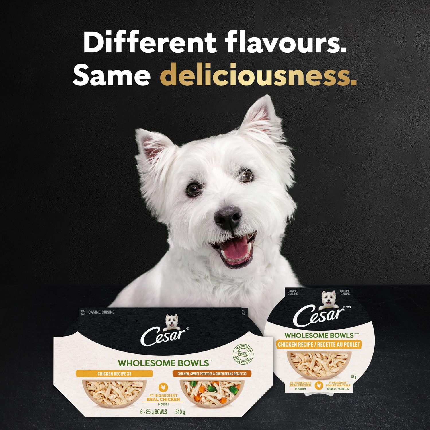 Nourriture humide pour chiens adultes Cesar Wholesome Bowls recette au bœuf, au poulet, aux carottes et aux pommes de terre mauves