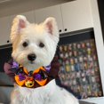thumbnail image 3 of Collier pour Animaux de Compagnie Halloween pour Chats et Chiens avec Bande Réglable Nœud Papillon Mignon Accessoire de Costume, 3 of 5